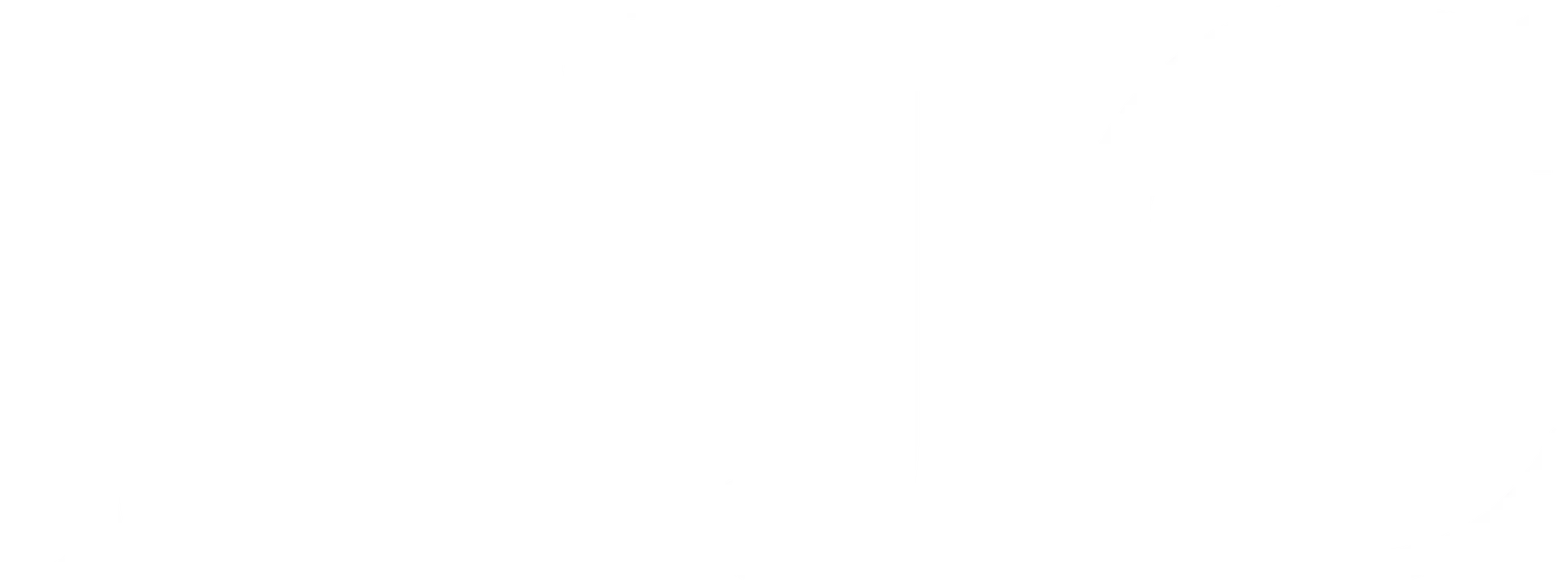 Nova Junior Consulting